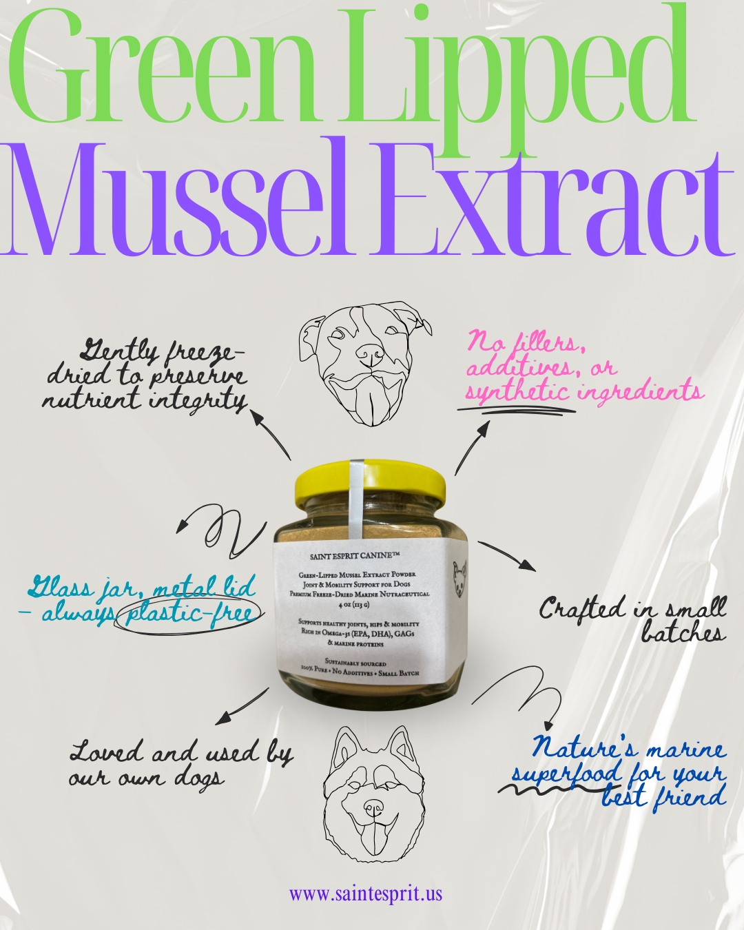 Saint Esprit Canine™ – Green-Lipped Mussel Extract for Dogs (4 oz)